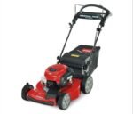 Toro Recycler Personal Pace All-Wheel Drive 7.25 TP Briggs OHV (22″) #21472