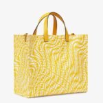 Fendi Glazed Canvas Bag