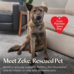 Bissell CrossWave Turbo All-in-One Wet Dry Vacuum Mop, 3888A - Image 10