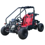 Taotao GK110 Kids Gas Go Kart Dune Buggy