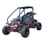 Taotao GK110 Kids Gas Go Kart Dune Buggy - Image 4