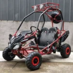 DongFang 125cc Kids Go Kart Type-GTS - Image 2