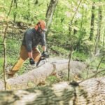 Stihl Gas-Powered Chainsaw, 20in. Bar, 64.1cc, 3/8in. Chain Pitch, Model# MS 391 - Image 4