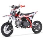 TrailMaster TM10 110cc Automatic 4-Stroke Dirt Bike