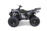 Taotao 250 Rhino Adult Utility ATV - Image 2