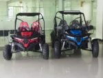 TrailMaster Cheetah 8 Go-Kart - Image 6