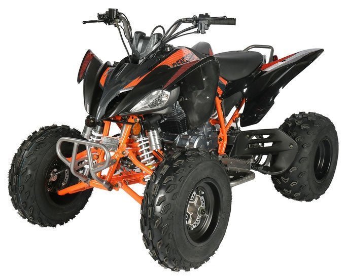 737-1-1.jpg Regency PRO Ultra Sport 250cc ATV - Image 1