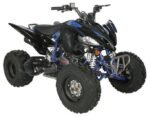Regency PRO Ultra Sport 250cc ATV - Image 5