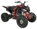 Regency PRO Ultra Sport 250cc ATV - Image 6