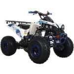 X-Pro 125cc Gas ATV