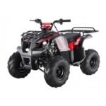 Tao Motor D125 Kids ATVs - Image 4