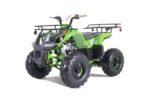 TaoTao T-Force T125 4-Wheeler All-Terrain Vehicle ATV - Image 2