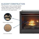 Duluth Forge Dual Fuel Ventless Gas Fireplace Insert - Image 6
