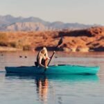 Lifetime Guster 100 Sit-In Kayak - Image 22
