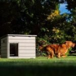 Lifetime Deluxe Dog House (Large) - Image 19