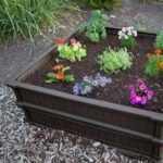 Raised Garden Bed Kit (2 Beds, 1 Enclosure) - Image 6