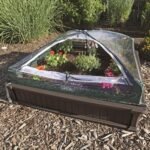 Raised Garden Bed Kit (2 Beds, 1 Enclosure) - Image 12