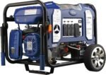 Ford 11,050 Watt Dual Fuel Portable Generator FG11050PBE - Image 4