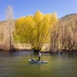 Lifetime Yukon Angler 116 Fishing Kayak - Image 11
