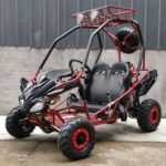 DongFang 125cc Kids Go Kart Type-GTS - Image 2