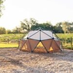Lifetime 60-Inch Climbing Dome with Canopy - Image 25