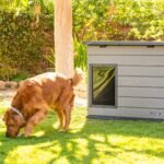 Lifetime Deluxe Dog House (Large) - Image 43