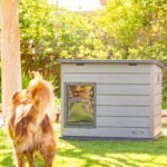Lifetime Deluxe Dog House (Large) - Image 36
