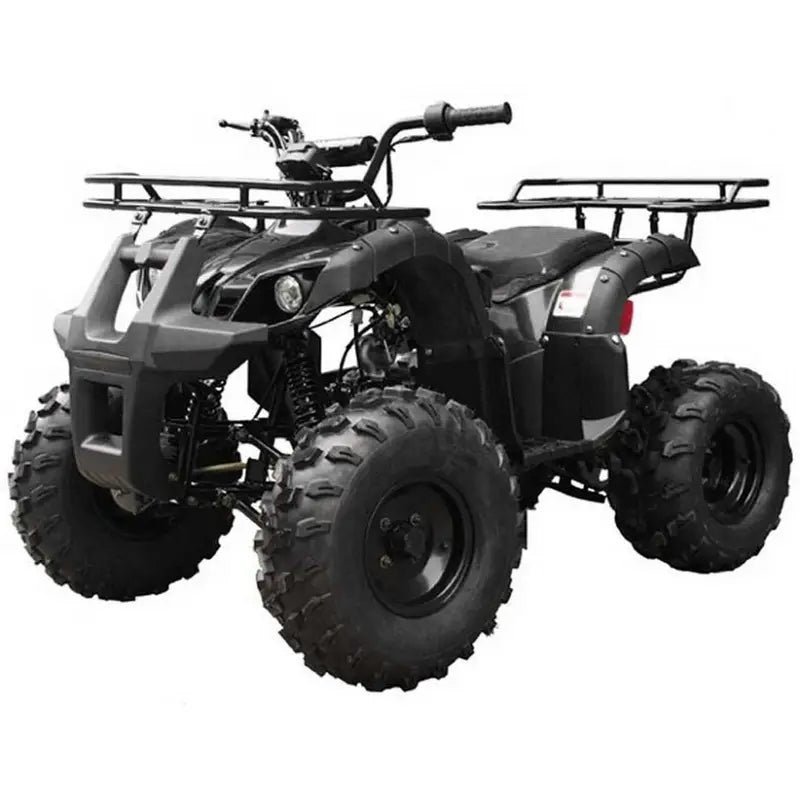 811-1.jpg Tao T Force T125 Mid Size ATV - Image 1