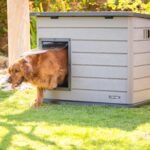 Lifetime Deluxe Dog House (Large) - Image 50