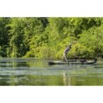 Hobie Mirage Outback Fishing Kayak - Image 6