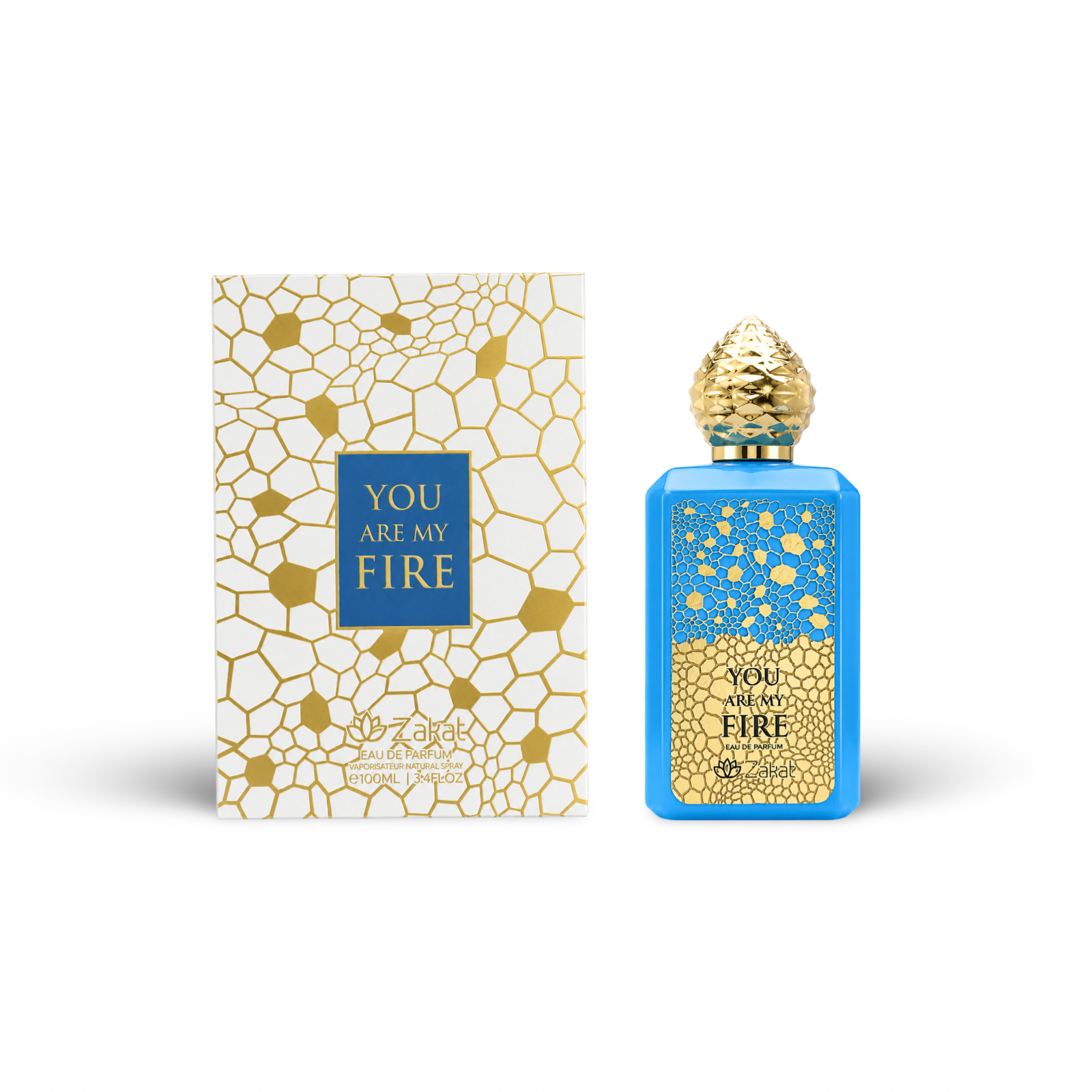 IMG-9896_106dd34a-c129-41d9-be68-75da998dd217.png You are my fire by Zakat - Image 1