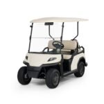 Vista 4-Passenger Lithium-Ion Battery - Image 3