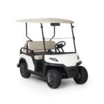 Vista 4-Passenger Lithium-Ion Battery - Image 2