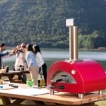 Alfa Moderno Portable Gas Fired Pizza Oven - Image 9