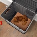 Lifetime Deluxe Dog House (Large) - Image 58