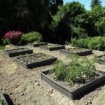 Raised Garden Bed Kit (2 Beds, 1 Enclosure) - Image 15