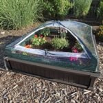 Raised Garden Bed Kit (2 Beds, 1 Enclosure) - Image 4