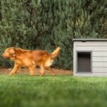 Lifetime Deluxe Dog House (Large) - Image 28