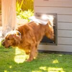 Lifetime Deluxe Dog House (Large) - Image 39