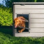 Lifetime Deluxe Dog House (Large) - Image 23
