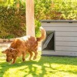 Lifetime Deluxe Dog House (Large) - Image 42